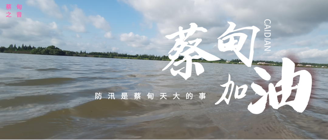 蔡甸區(qū)啟動(dòng)防汛ⅰ級(jí)應(yīng)急響應(yīng)，做好鋪土釘防汛木樁工作