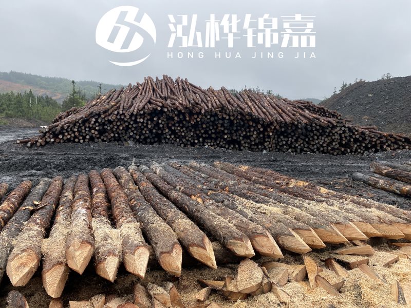 6米長松木樁有哪些作用，多少錢一根？