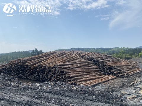 河道打樁為什么選擇松木樁來處理軟地基？-松木樁施工使用范圍