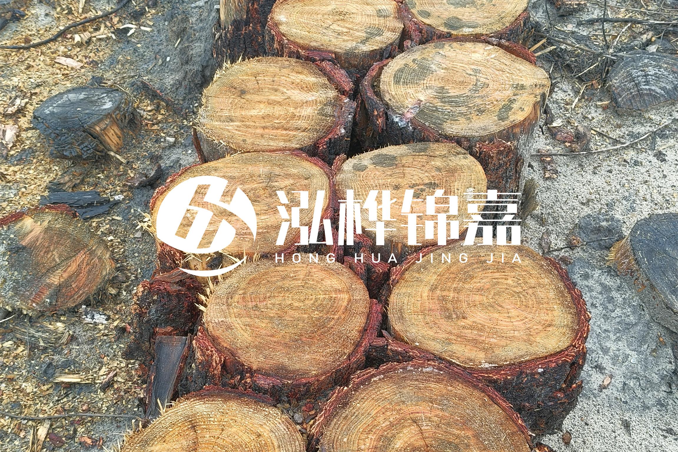 浙江臺州有清淤的公司嗎？浙江臺州有清淤施工隊(duì)嗎？