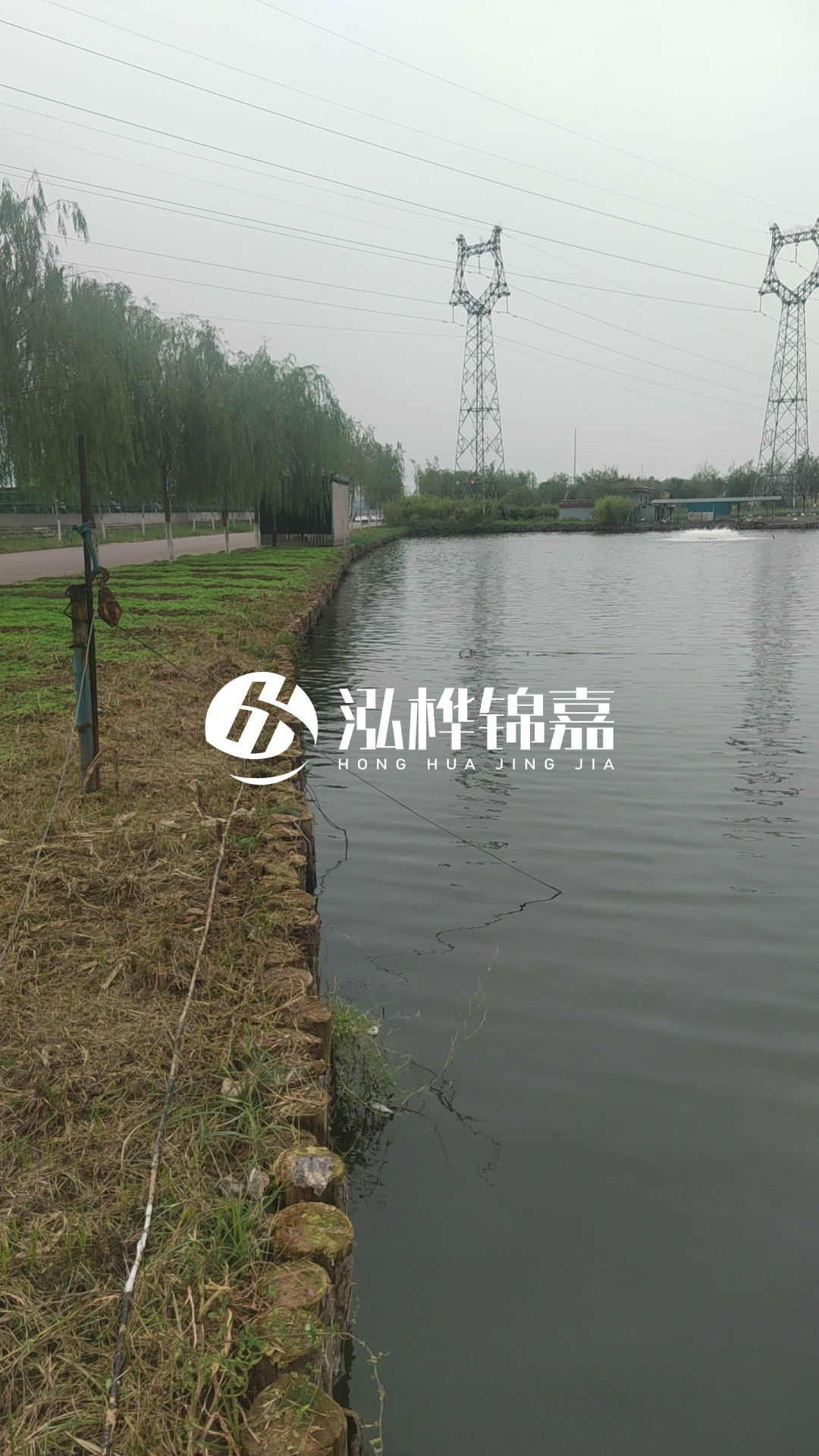 臺(tái)州挖機(jī)打木樁專業(yè)施工-松木樁打樁木的密度對打樁效果有影響嗎？