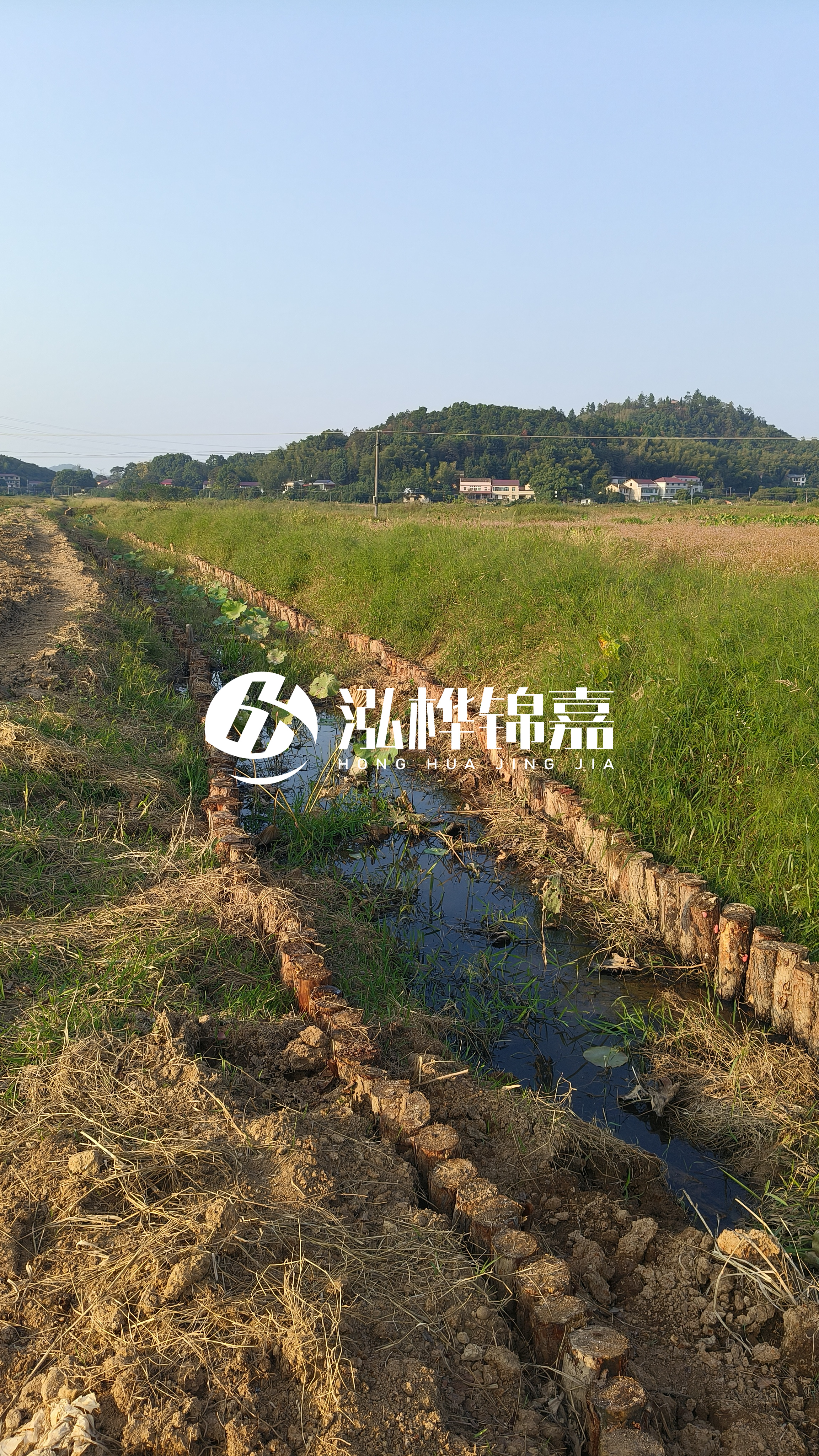 河道護(hù)坡打木樁的目的全解析：你知道幾個(gè)？