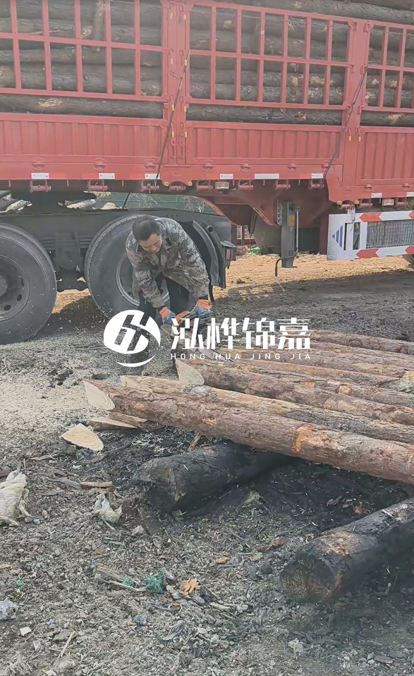 2米松木樁多少錢一根？15-20CM直徑價格是多少？