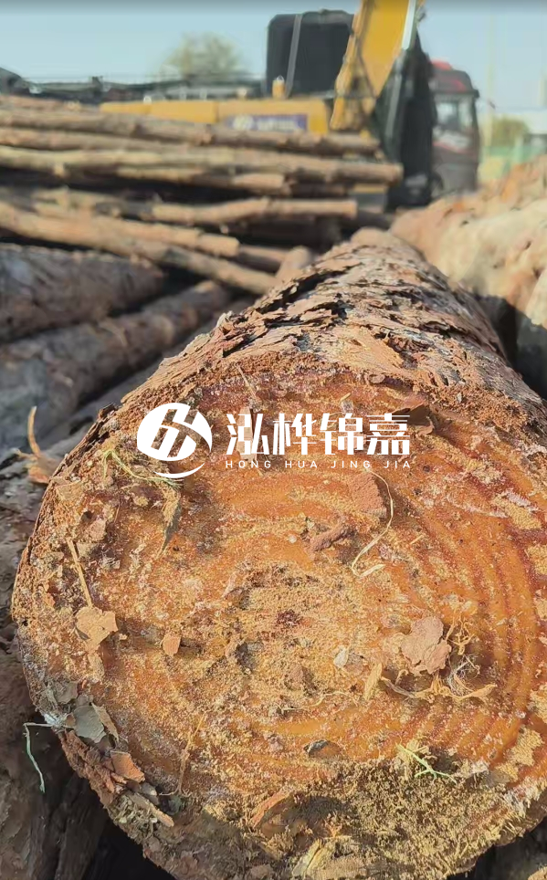 杉木樁價(jià)格多少錢一方-3米直徑14公分杉木樁價(jià)格？