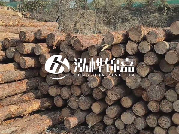 落葉松木材的主要產(chǎn)地在哪里？為什么比其他松木更耐腐蝕？
