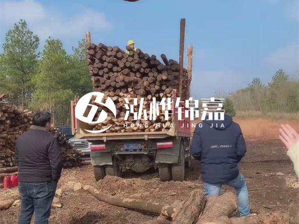 防腐木樁價格比普通木樁貴多少？防腐木樁有哪些處理方式？