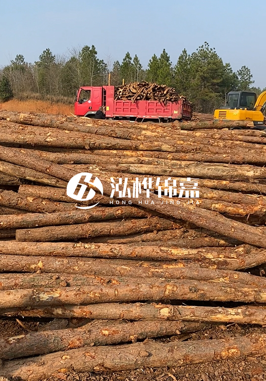 8米小頭11-13CM的松木樁價格是多少？打樁施工怎么算？