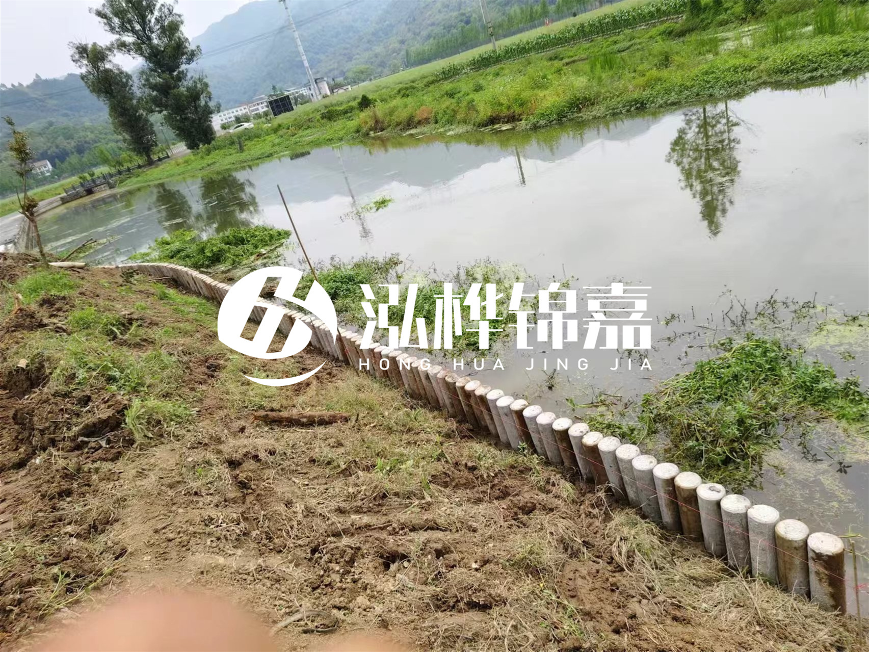 松木樁加固河道與水泥樁對比如何？哪一種更加適合您？