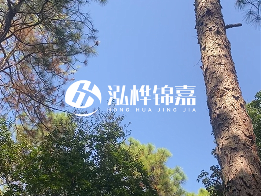 松木樁廠家的供貨能力強(qiáng)不強(qiáng)-怎么才能聯(lián)系到松木樁廠家？