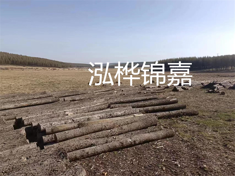 落葉松是什么檔次的木材？
