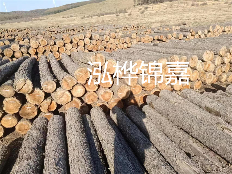 選擇合適的路緣石尺寸，打造美麗道路